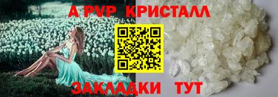 индика Беслан