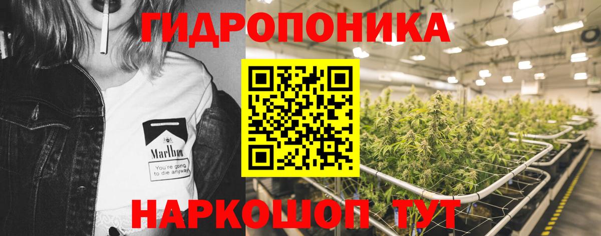 Марихуана марихуана Вятские Поляны